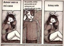 Enlace a Le pillaste reflexivo