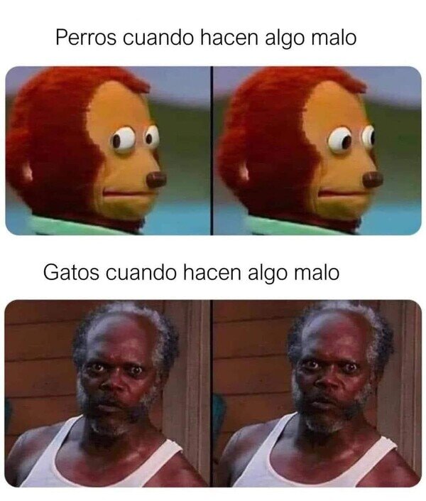 Otros - Mantienen la mirada fija