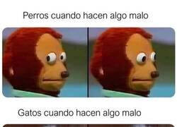 Enlace a Mantienen la mirada fija