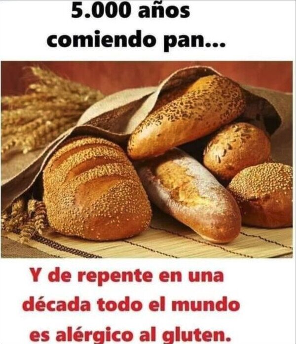 Otros - ¿Qué nos ha pasado?