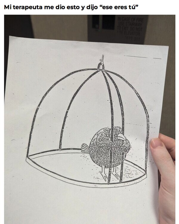 Meme_otros - Me representa