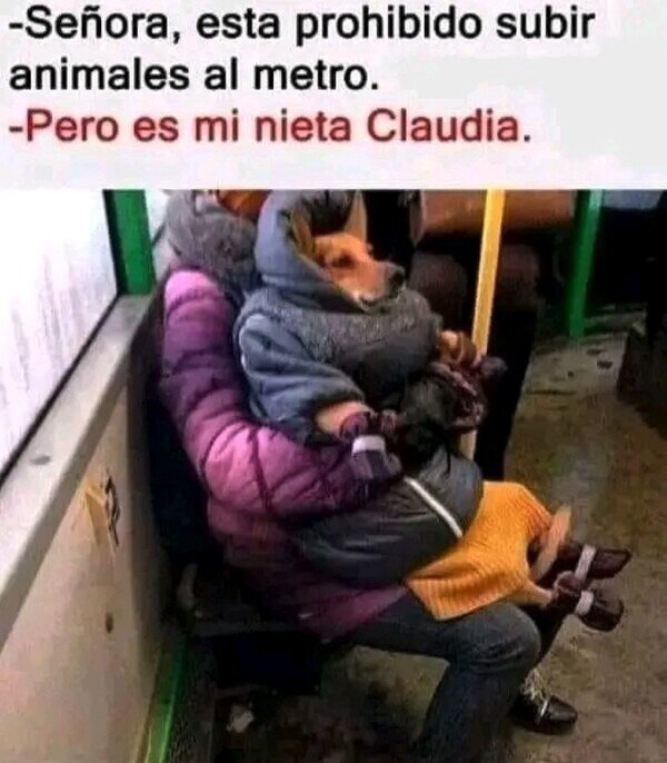 Meme_otros - ¿Está llamando fea a mi nieta?