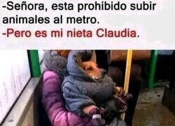 Enlace a ¿Está llamando fea a mi nieta?