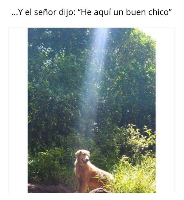 Meme_otros - Buen chico por la gracia de Dios