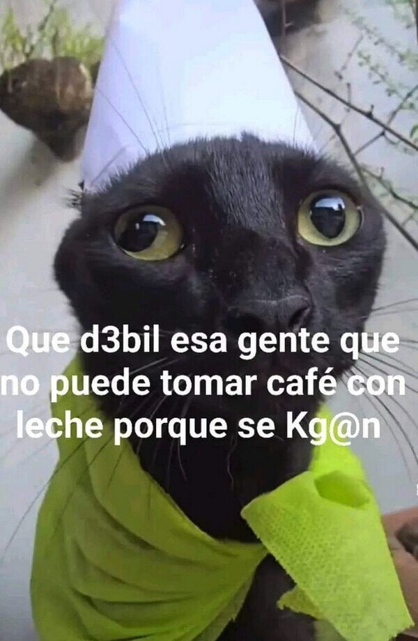 Meme_otros - Eso sí que es mostrar debilidad