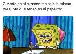 Enlace a Cuando aciertas con la chuleta