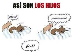 Enlace a Hay que quererlos