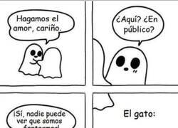 Enlace a Por eso se quedan con esa cara