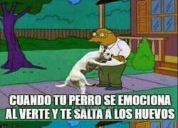 Enlace a ¿Por qué, Firulais? ¿por qué?