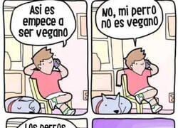 Enlace a Así debería ser