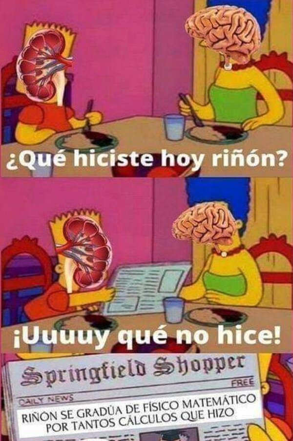 Meme_otros - Renales pero cálculos al fin y al cabo