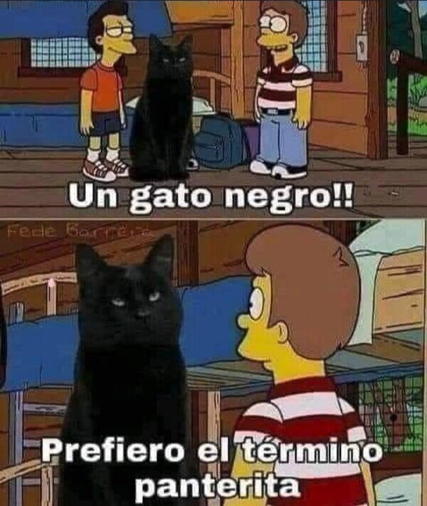 Meme_otros - Mucho mejor ese término