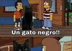 Enlace a Mucho mejor ese término