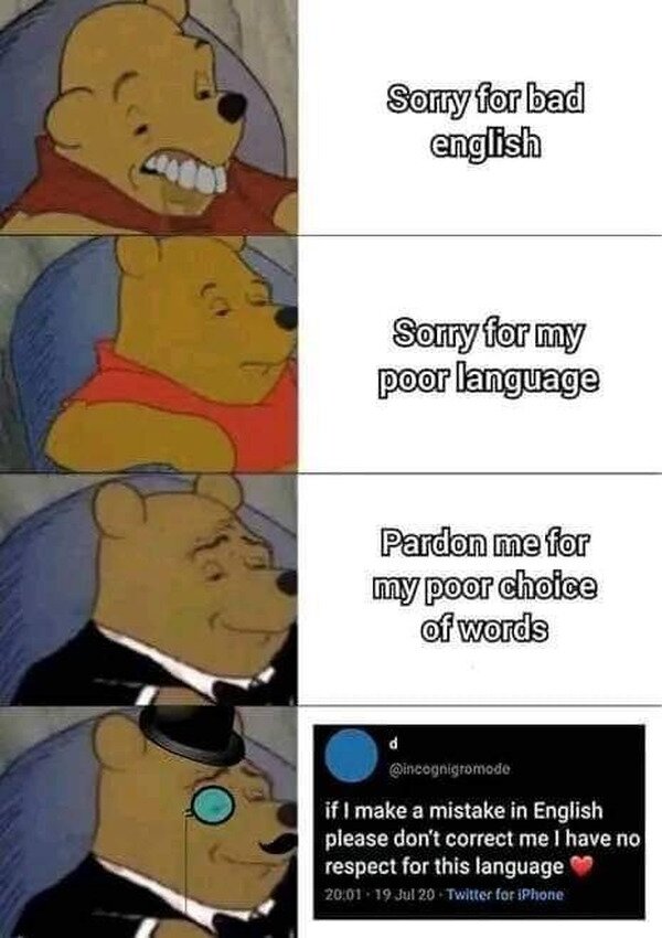 Meme_otros - Perdón por mi inglés
