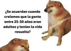 Enlace a Qué inocentes...