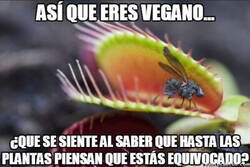 Enlace a Las plantas que pueden, comen carne