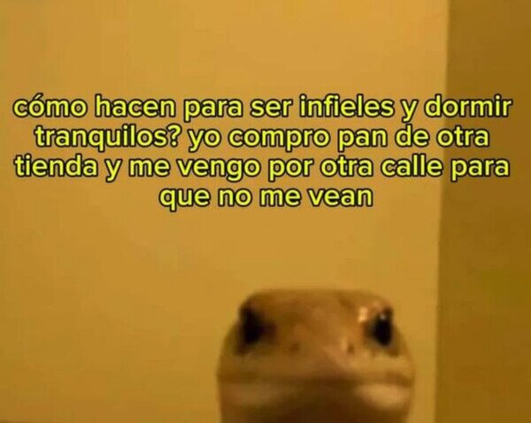 Otros - Infiel a la panadería