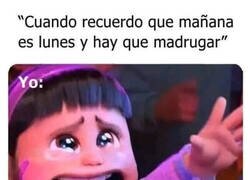 Enlace a Los findes duran tan poco...