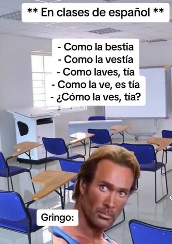 Otros - Nuestro idioma es muy complejo