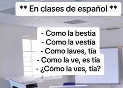 Enlace a Nuestro idioma es muy complejo