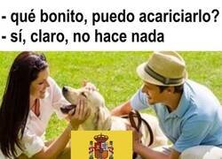 Enlace a Absolutamente nada