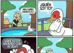 Enlace a Pato reflexivo