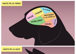 Enlace a Las mentes de perros y gatos