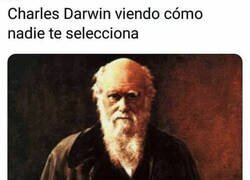 Enlace a Has decepcionado a Darwin