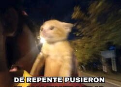 Enlace a Todo pasa tan rápido