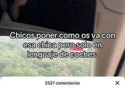 Enlace a Una triste historia de amor y coches