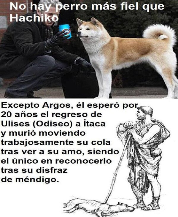Meme_otros - No hay perro más fiel