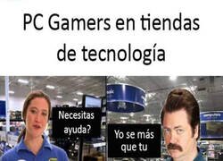 Enlace a Están en su terreno