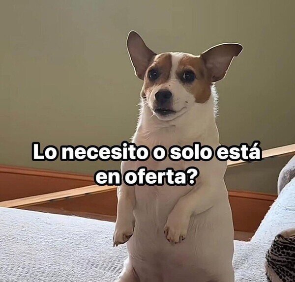 Otros - La eterna duda