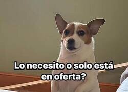 Enlace a La eterna duda