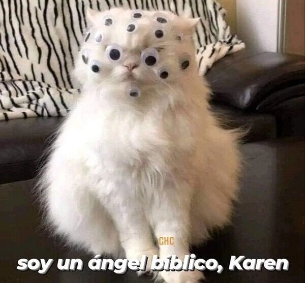 Meme_otros - Misifú te observa...