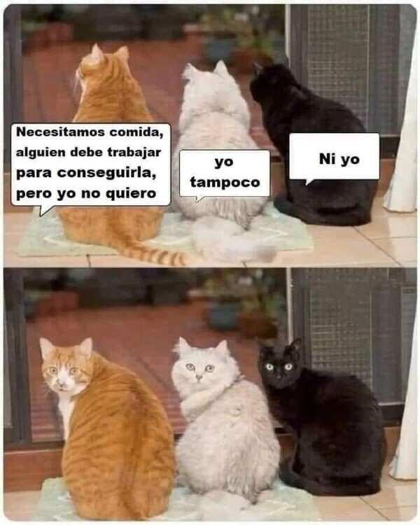 Meme_otros - Humano, te ha tocado