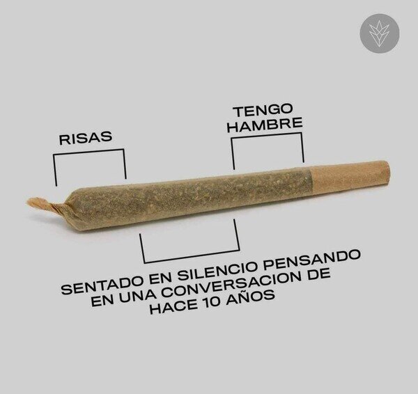 Otros - Las fases de un porrete