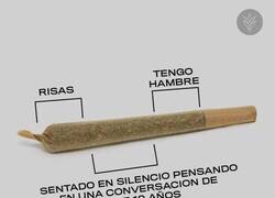 Enlace a Las fases de un porrete