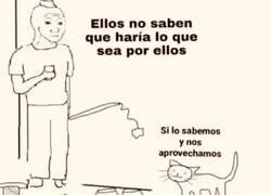 Enlace a Peludos aprovechados
