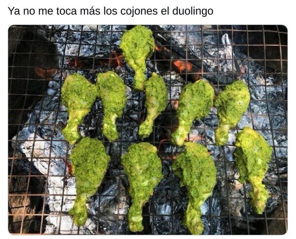 Otros - Se acabó el Duolingo