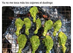 Enlace a Se acabó el Duolingo