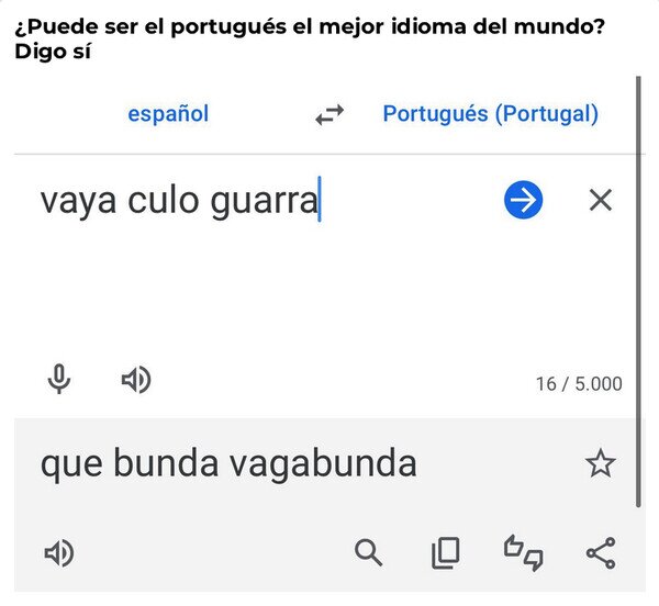 Meme_otros - El mejor idioma del mundo