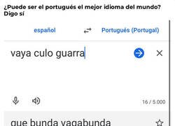 Enlace a El mejor idioma del mundo
