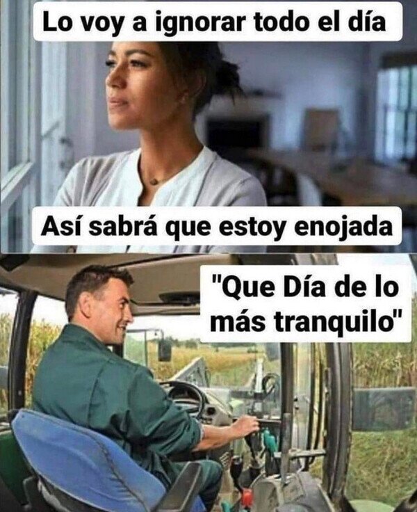 Meme_otros - Un día de lo más tranquilo