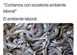 Enlace a Un nido de serpientes