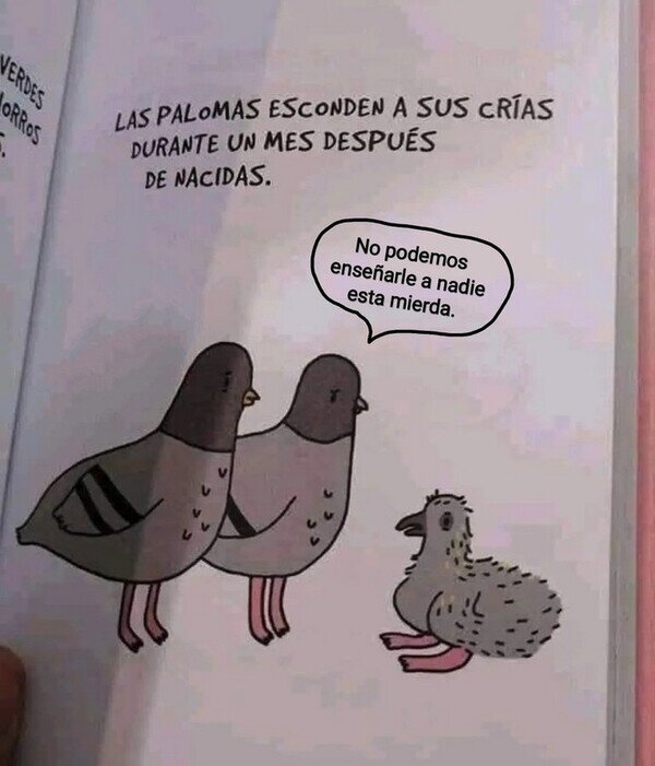 Meme_otros - No me extraña