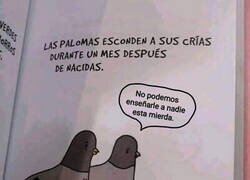 Enlace a No me extraña