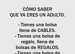 Enlace a Ser adulto son bolsas