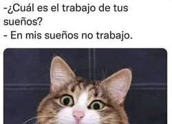 Enlace a Como debe ser