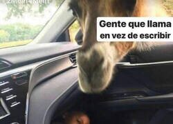 Enlace a Demasiado intrusivos